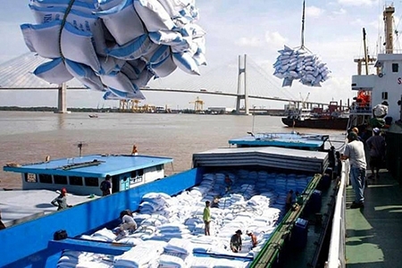 VN looks to export more rice to China