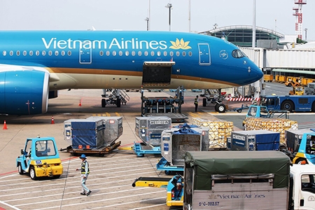 Động vật sống nào được đi máy bay Vietnam Airlines