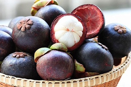 Măng cụt Lái Thiêu tự tin xuất khẩu