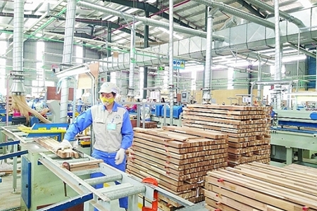 Xuất khẩu gỗ: Cơ hội từ thị trường EU