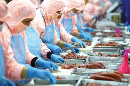 EVFTA tạo ra cơ hội và sức cạnh tranh mới từ thị trường châu Âu