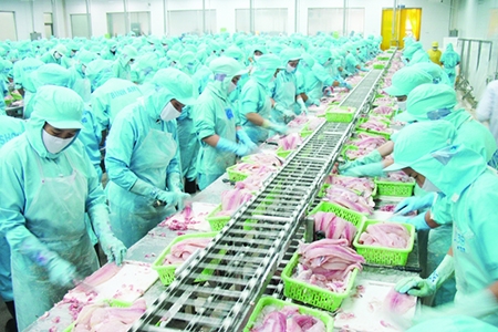 EVFTA sẽ có hiệu lực ngay trong tháng 7/2020?