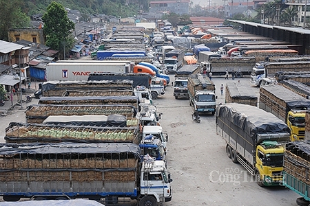 Lưu ý gì khi xuất hàng sang Trung Quốc?