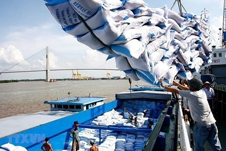 Thủ tướng đồng ý cho xuất khẩu 400.000 tấn gạo trong tháng 4