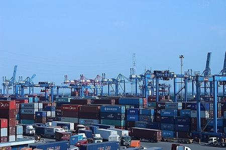 Tân cảng Sài Gòn giảm 20-50% phí cho container hàng lạnh và gạo
