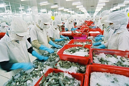 Xuất khẩu tôm vào Australia phải đáp ứng yêu cầu mới nào?
