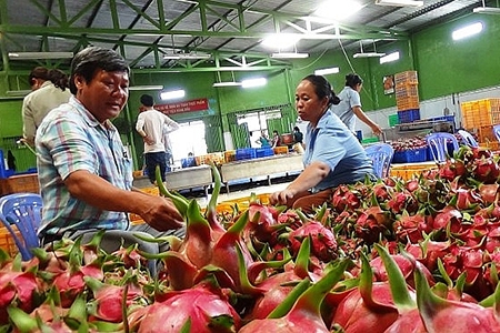 Chủ động, tự tin tiến vào EU