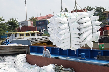 EU dành hạn ngạch 80.000 tấn/năm, xuất khẩu gạo có nắm được cơ hội?