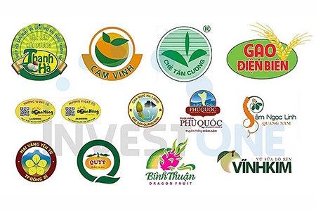 Thực thi quyền sở hữu trí tuệ trong EVFTA: Cơ hội song hành thách thức