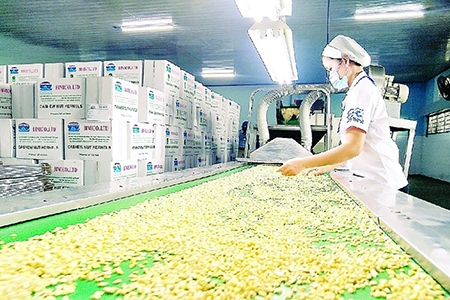 Xuất khẩu hạt điều dự báo khởi sắc tại EU, Mỹ