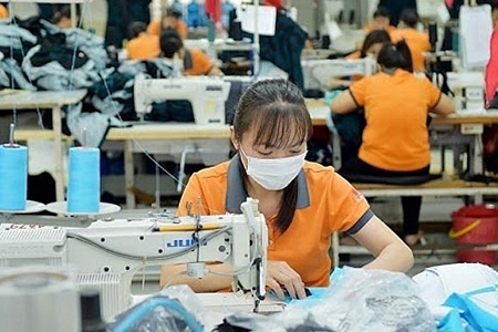 Bộ Công Thương hướng dẫn chứng từ chứng nhận xuất xứ trong EVFTA