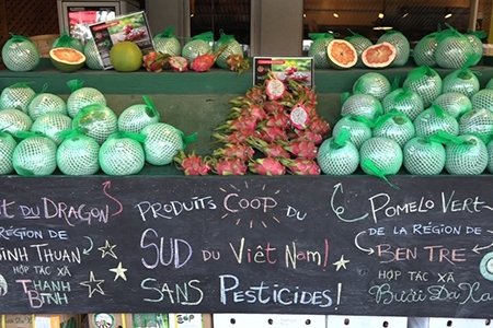 Vietnamese co-operatives export dragon fruit, pomelo to Canada