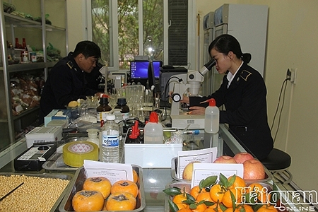 Từ 17/10, không yêu cầu nộp bản giấy Giấy chứng nhận kiểm dịch thực vật nhập khẩu