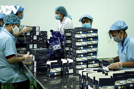 Sản phẩm khác biệt tạo con đường mới vào thị trường EU