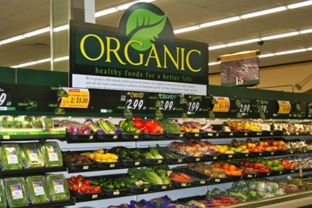What does the new EU Organic Regulation mean for exporters of grains, pulses and oilseeds?