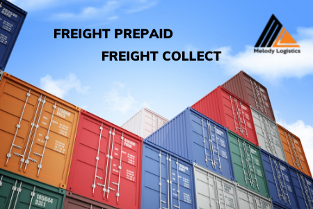 PHÂN BIỆT FREIGHT PREPAID VÀ FREIGHT COLLECT