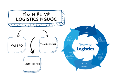 BẠN ĐÃ BIẾT GÌ VỀ LOGISTICS NGƯỢC