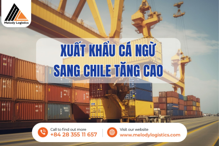 Xuất khẩu cá ngừ sang Chile tăng cao