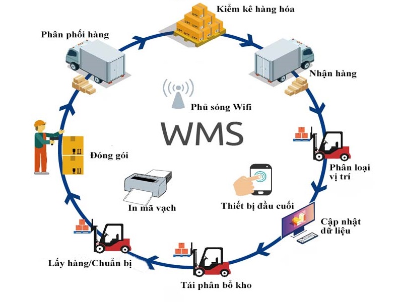 13 chìa khóa để chọn Hệ thống Quản lý Kho hàng (WMS) phù hợp