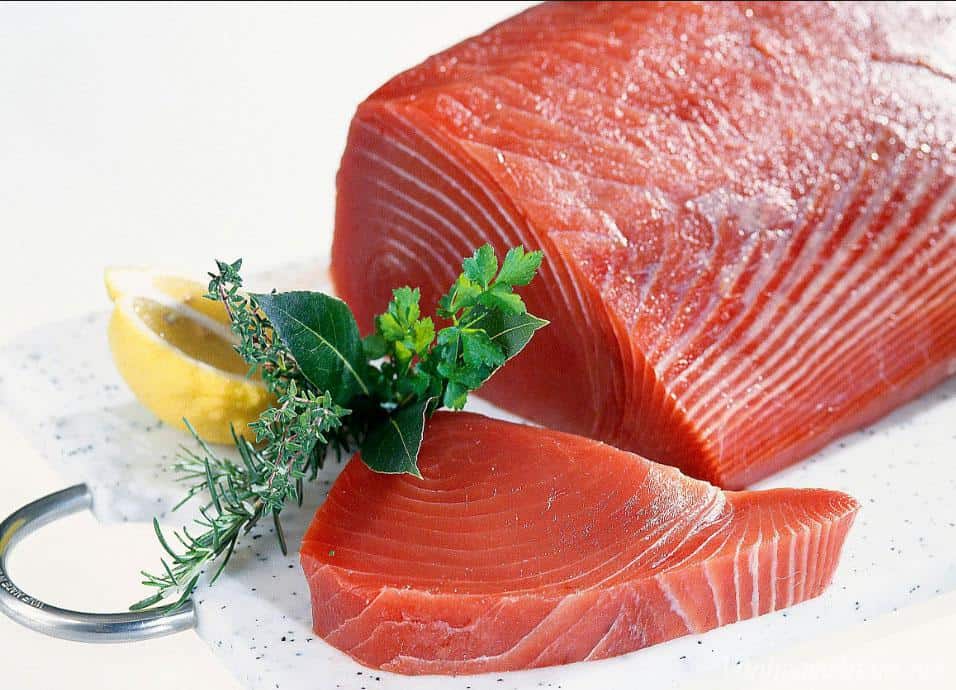 Các nhà chế biến cá ngừ EU không thể chiến thắng trong cuộc cạnh tranh về giá