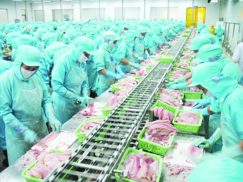 Thủy sản là ngành hàng được nhận định có nhiều cơ hội thúc đẩy xuất khẩu khi Hiệp định EVFTA có hiệu lực. Ảnh: Nguyễn Thanh