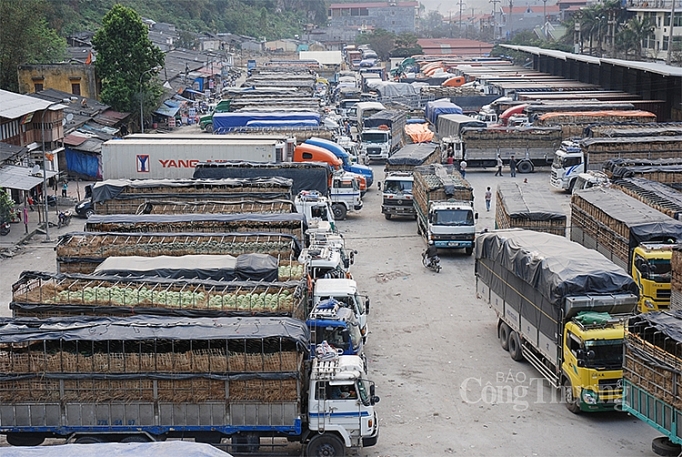 Lưu ý gì khi xuất hàng sang Trung Quốc?