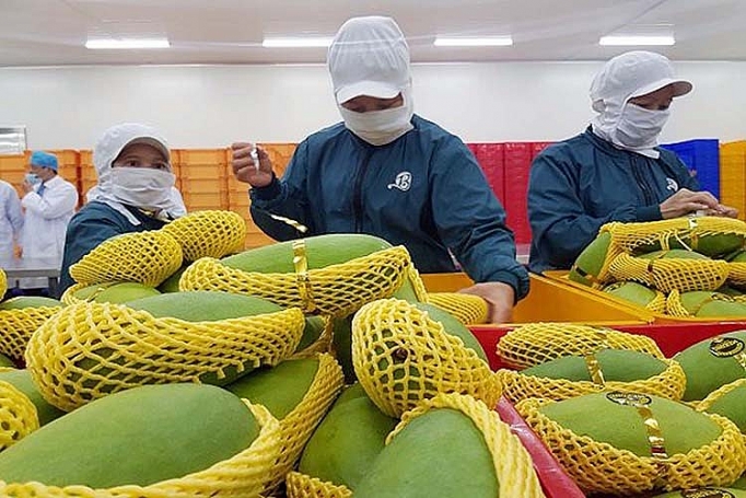 Tăng cường các biện pháp kiểm tra chất lượng, truy xuất nguồn gốc