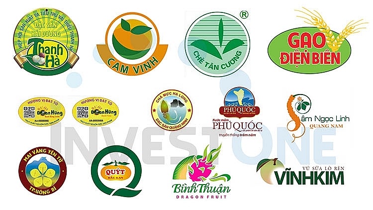 Nhiều sản phẩm nông sản Việt Nam được chỉ dẫn địa lý