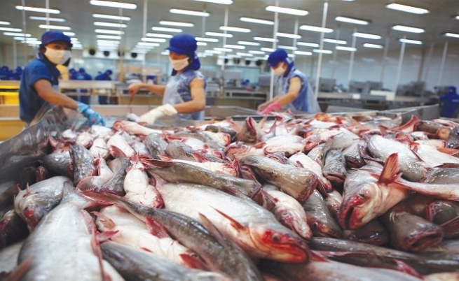 Thuế chống bán phá giá cá tra xuất khẩu sang Mỹ giảm mạnh