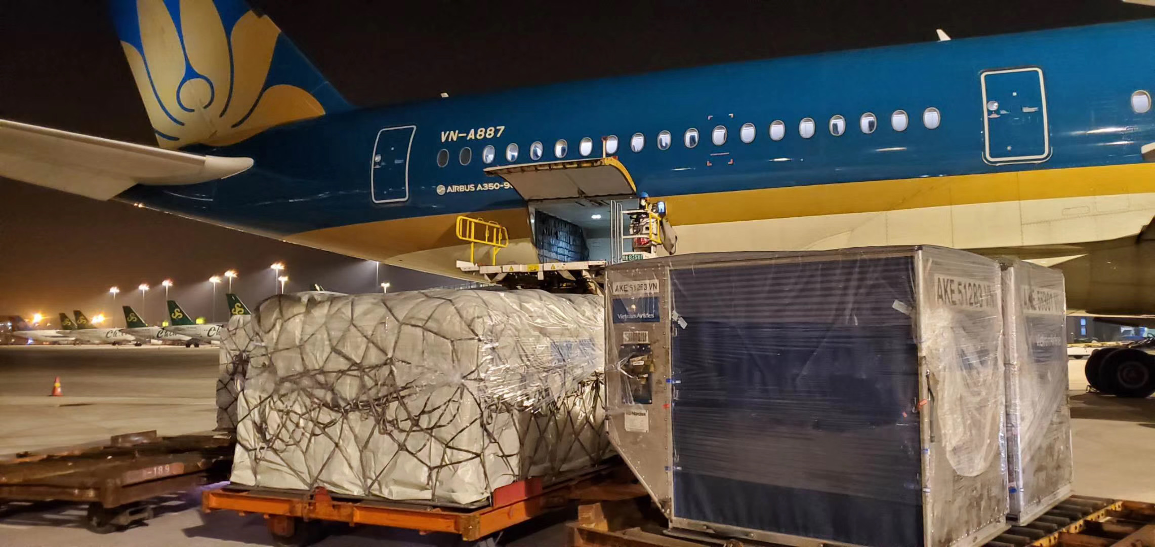 Chuyến bay chở hàng mang số hiệu VN9523 của Vietnam Airlines từ TP. Hồ Chí Minh đã hạ cánh tại Sân bay Quốc tế Phố Đông, Thượng Hải.