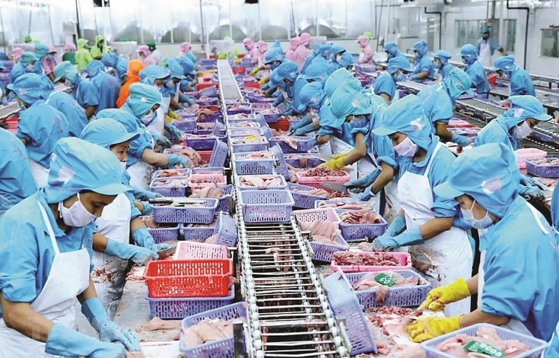 Mặt hàng xuất khẩu chủ lực cá tra kỳ vọng sẽ tăng trưởng dương