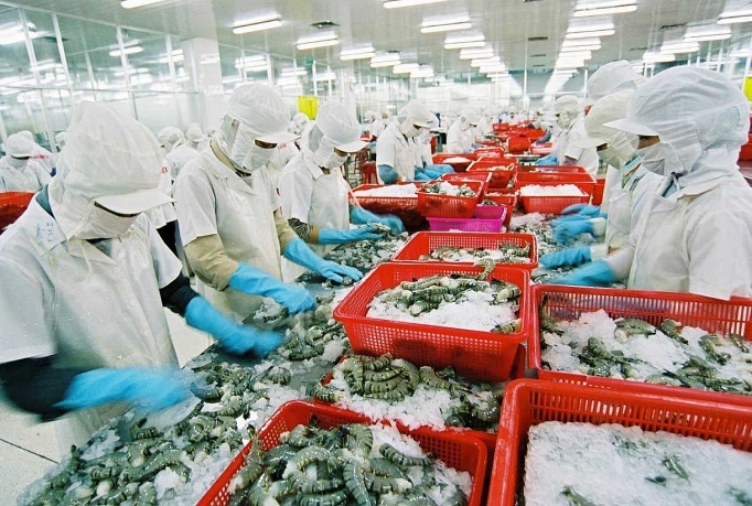 Xuất khẩu tôm vào Australia phải đáp ứng yêu cầu mới