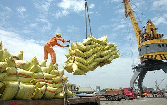 Lượng gạo Việt Nam có thể xuất khẩu trong năm nay khoảng 6,5-6,7 triệu tấn. Nguồn: Internet